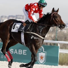 El turf vuelve el 3 de junio en San Sebastián; Madrid, a la espera