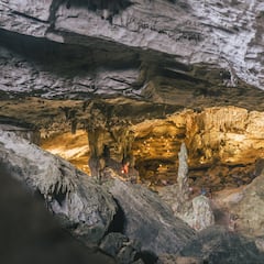 New species of “large, black-eyed” animal discovered in a mine that is surprising the scientific world