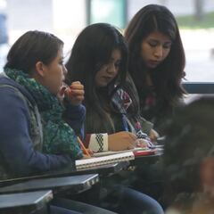 Cómo trabajar Universidad del Bienestar: cuáles son las condiciones y dónde solicitar