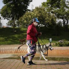 Curva del coronavirus en Colombia hoy, 29 de abril: ¿cuántos casos y muertes hay?