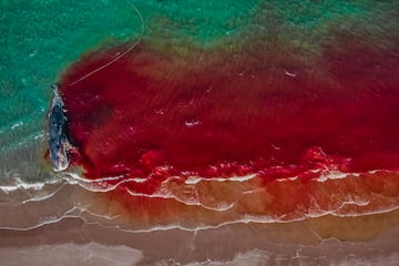 Segundo puesto: Fotografía de Rafael Fernández Caballero en México.