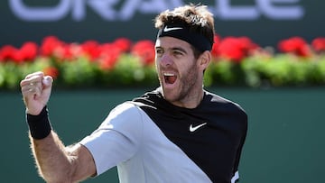 Del Potro volverá a las pistas en el ATP de Estocolmo de octubre