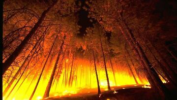 Los cazadores pieza clave para la prevención de incendios forestales