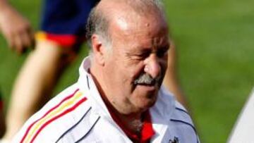 Vicente del Bosque