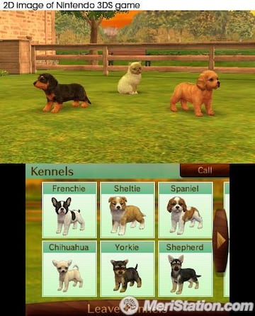 Captura de pantalla - nintendogs_kennels_showing_dogs_uk.jpg