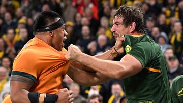 Malas pulgas en el Rugby Championship