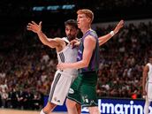 Gran cartel en el Costa del Sol: Unicaja, Alba y un Real Madrid con la incógnita de Scariolo