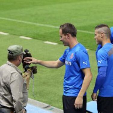 El resurgir del ave Fénix