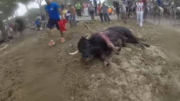El decreto-ley aprobado por el Gobierno castellano leonés impedirá lanzear y dar muerte al toro.
