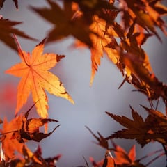 Equinoccio de Otoño 2025: origen, significado y cuándo llega a México