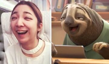 Con malicia, esta joven asi芍tica es comparada con el perezoso de 'Zootr車polis'