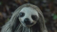 El tráiler de Slotherhouse avisa: si adoptas a un oso perezoso puede convertirse en un asesino en serie