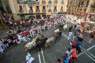 Hoy 8 de julio de 2022 se ha celebrado el segundo día de los encierros de los Sanfermines. Por las calles de Pamplona ha corrido los toros de la ganadería Fuente Ymbro.