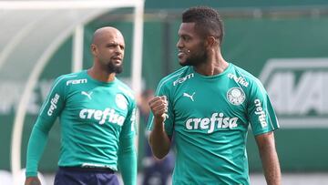 Miguel Ángel Borja podría seguir en Brasil pero no en Palmeiras