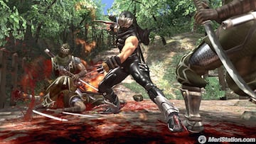 Captura de pantalla - ninja_gaiden_1003_0.jpg