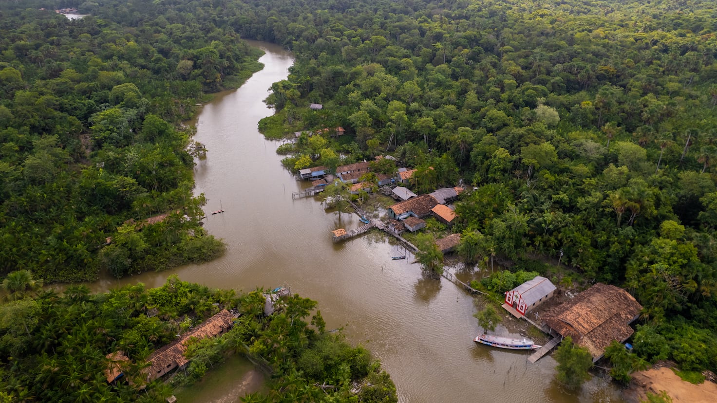 Descubren Ciudad Perdida en la Selva Amazónica: Un Misterio de Más de 200 Años Revelado