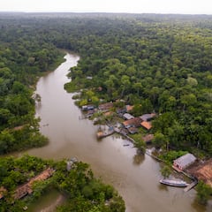 Scientists uncover giant snake weighing over a ton with a huge appetite