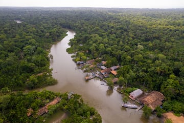 Amazonia (varios pases en Amrica del Sur)