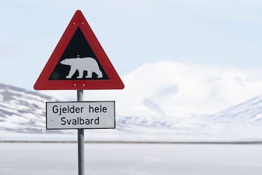 La señal de tráfico con un oso polar es un símbolo distintivo que se encuentra en algunas áreas de Noruega, especialmente en regiones del norte donde estos majestuosos animales son parte del ecosistema local. Esta señal generalmente advierte a los conductores sobre la posible presencia de osos polares en la carretera o en las cercanías, lo que es crucial para la seguridad tanto de los animales como de las personas.