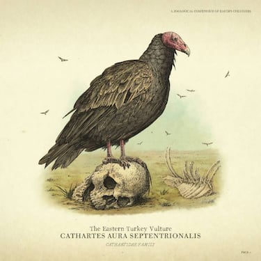 Red Dead Redemption 2: una fauna de 200 especies