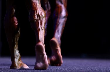 La competición se ha celebrado en Gateshead, una ciudad del condado de Tyne y Wear, situada en el nordeste de Inglaterra, en el lado sur del río Tyne frente a Newcastle upon Tyne.