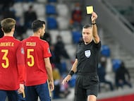 Radu Marian Petrescu.