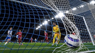 The curtain came down for Brighton at home this season as they beat Premier League champions Liverpool.