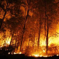 Los incendios se apagan en invierno