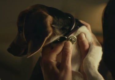 Todo empezó con un perro: diez años de la saga que cambió el cine de acción para siempre