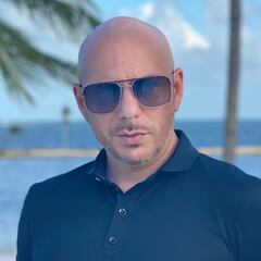Qué fue de Pitbull