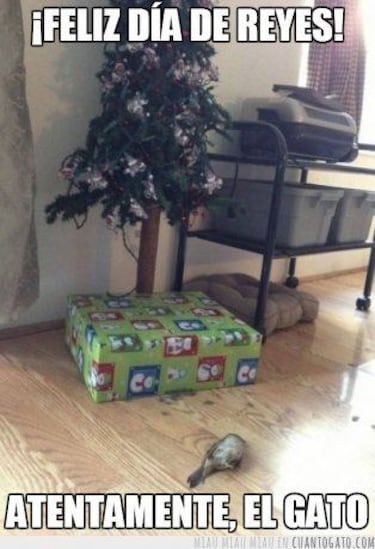 Los mejores memes de la llegada de los Reyes Magos