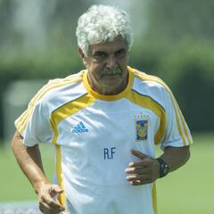 Tuca desafía las leyes y en las redes sociales lo denuncian