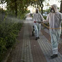 El virus del Nilo se cobra su primera víctima en Andalucía