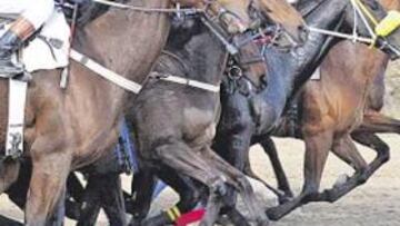 <b>AÑO NUEVO. </b>Mijas celebró sus carreras el primer día del nuevo año.