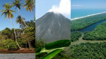 El turismo en Costa Rica es la principal fuente de ingresos económicos económicos del país. La exportación de plátanos, piña y café están por debajo de la actividad turística que atrae a un promedio de dos millones de visitantes por año. La razón de tal interés: los espectaculares paisajes, sus selvas, sus ríos y su megadiversidad. Algunos de los lugares más simbólicos son el Parque Nacional Corcovado y Bahia Drake, el  Volcán Arenal y el Parque Nacional Tortuguero. 