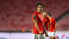 LISBON, PORTUGAL - OCTOBER 26: Darwin Nunez of SL Benfica celebrates scoring SL Benfica second goal during the Liga NOS match between SL Benfica and Belenenses SAD at Estadio da Luz on October 26, 2020 in Lisbon, Portugal. (Photo by Carlos Rodrigues/Getty