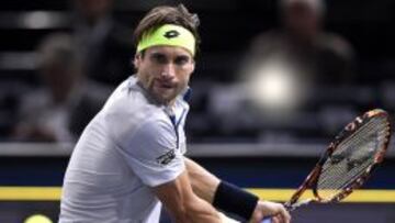 David Ferrer en Par&iacute;s