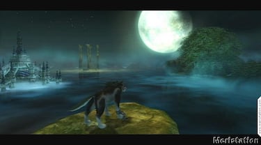 Zelda: Twilight Princess, Impresiones versión final