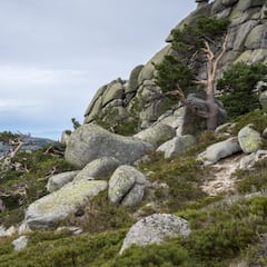 Los mejores planes de senderismo para una Semana Santa en Madrid