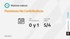 Pensiones no contributivas ANSES: cómo saber si puedo acceder a ellas, fechas de cobro y montos