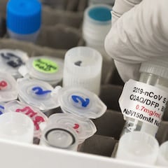 Una nueva variante entra en España