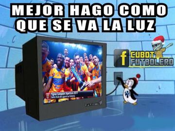 Disfruta los 50 mejores memes de Tigres campeón