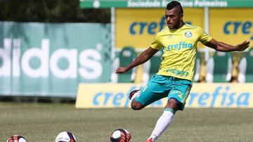 Miguel &Aacute;ngel Borja es el nuevo delantero del Palmeiras.