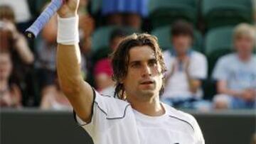 David Ferrer.