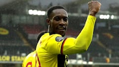 Brighton snap up former Man Utd, Arsenal star Welbeck