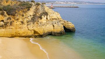 Los acantilados se rebajan un poco en esta playa y se encuentran revestidos de carrizos que denuncian la existencia de regueros de agua dulce. Las plantas típicas de las escarpas también abundan, sobre todo el caramillo, la orgaza y la sosa prima, especies adaptadas al salitre y que también crecen en los suelos salinos de los pantanos. El arenal se encuentra al abrigo de formaciones rocosas que se prolongan mar adentro, proporcionando baños tranquilos. 