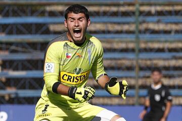 Campeón con la UC del Torneo Clausura 2005 y la Primera División en 2010. En la U, en tanto, ganó el Apertura 2012 y la Copa Chile 2012-13.