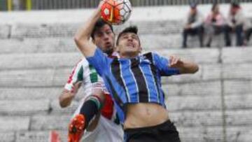 Palestino vs Huachipato por el Torneo de Clausura