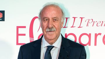 El exseleccionador de Espa&ntilde;a, Vicente del Bosque.