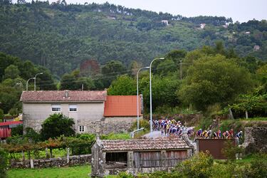 El pelotón durante la etapa de hoy. 